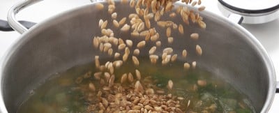 Come cucinare il farro | Sale&Pepe