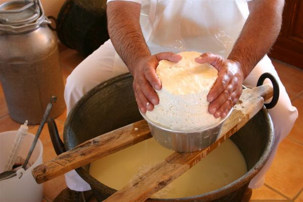 Così nasce il formaggio - Sale&Pepe