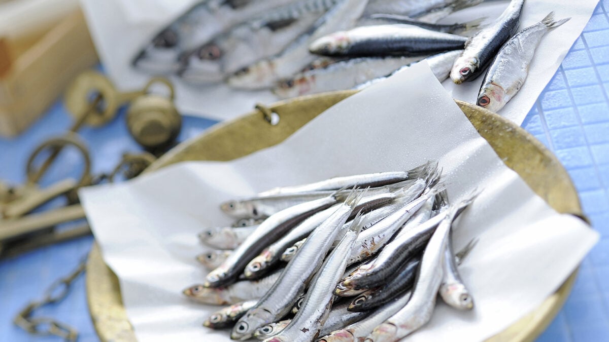 Come pulire e cucinare il pesce azzurro