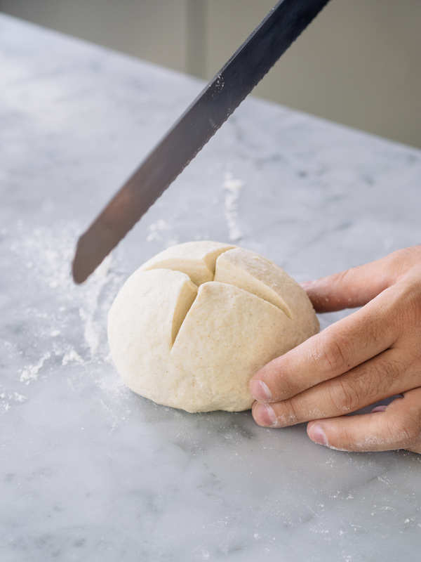 Come rinfrescare il lievito madre prima di usarlo per panificare