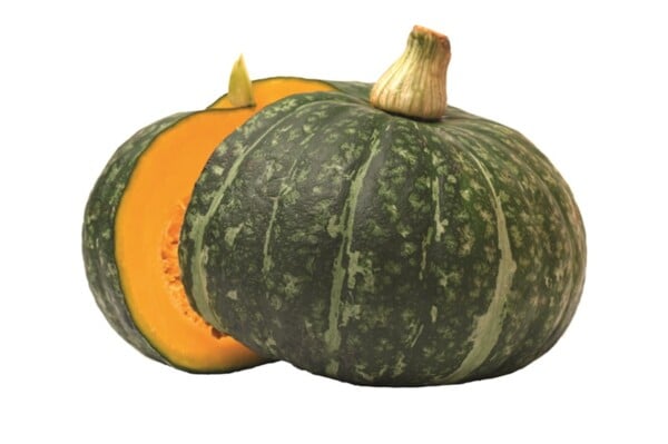 Zucca Delica I Colori del Sapore